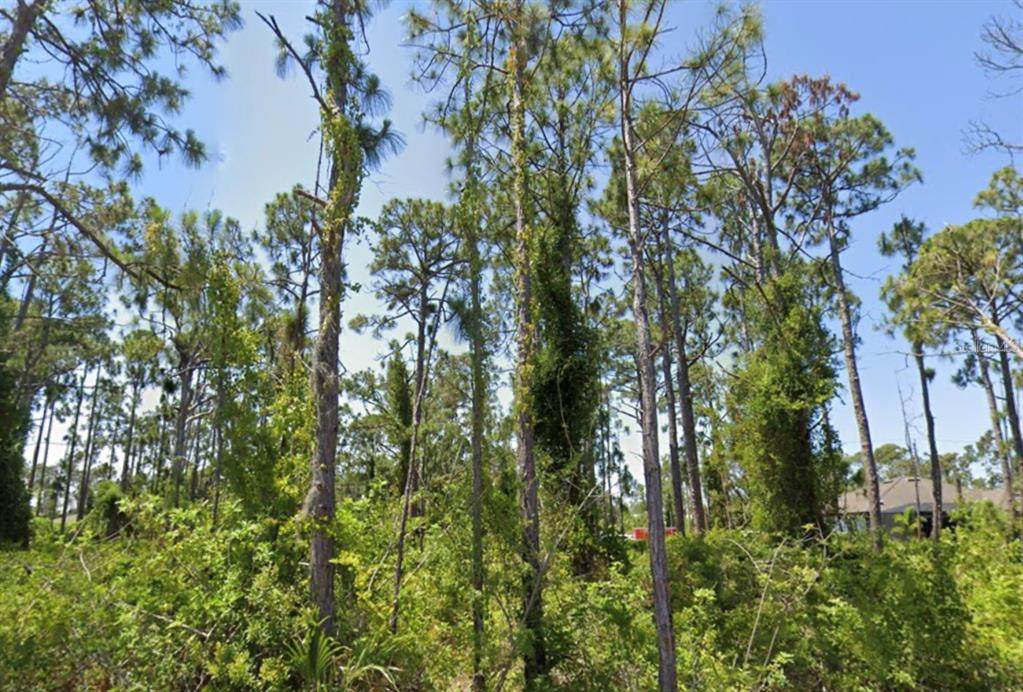 14209 Naylor Avenue - Photo 1