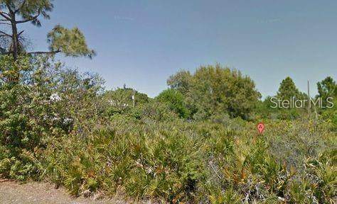 20987 Hillsborough Boulevard - Photo 1