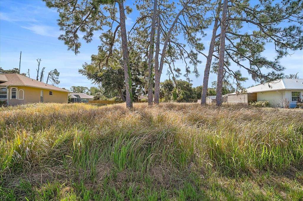  Sabrina Terrace - Photo 1