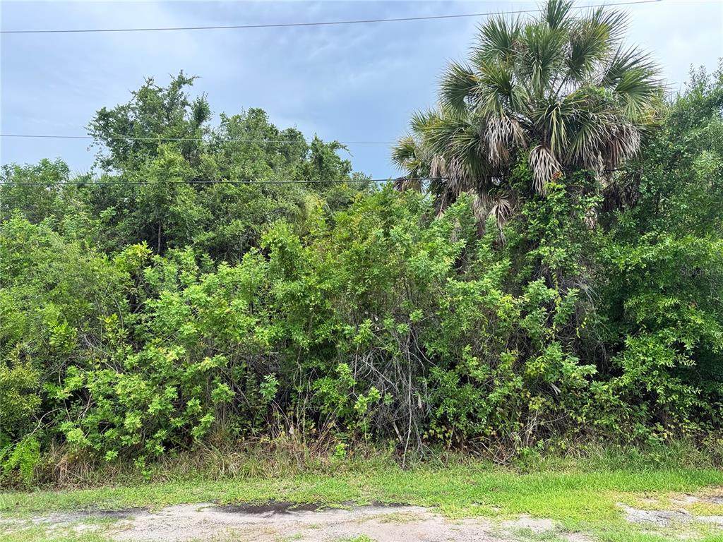2676 Portia Road - Photo 1