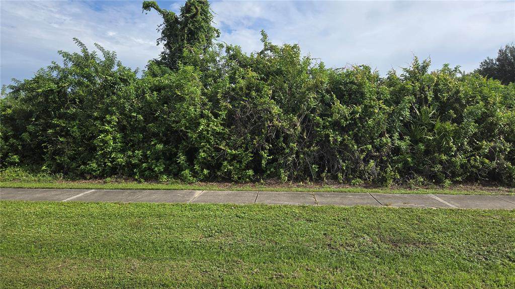 12436 Willmington Boulevard - Photo 1