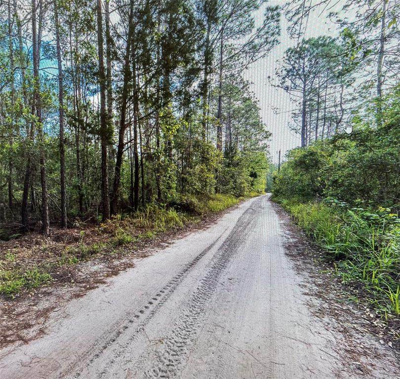 0 Kola Road - Photo 1