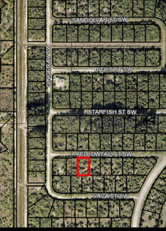 870 Yellowtail Street - Photo 1