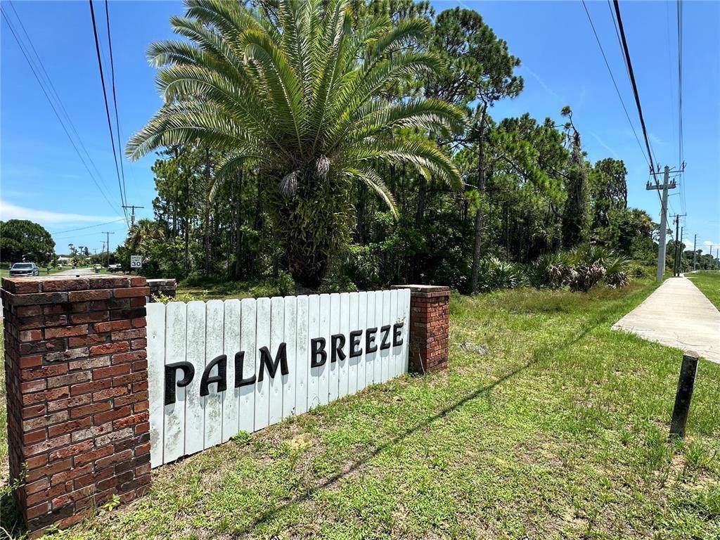 100 Palm Breeze Drive - Photo 1