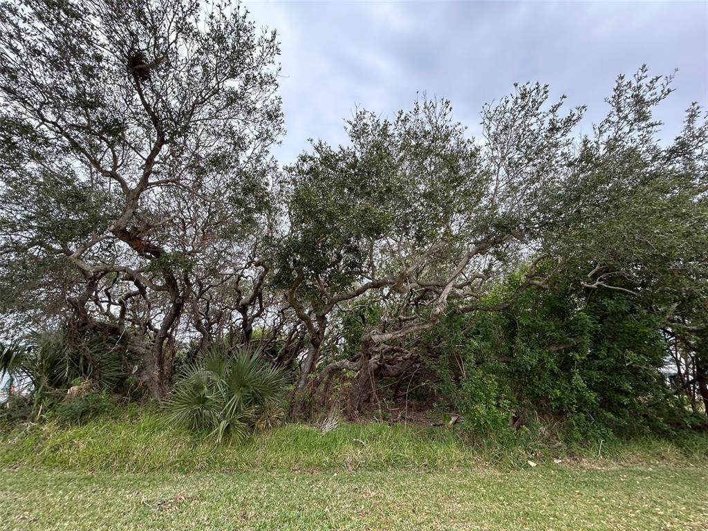  River Road - Photo 1