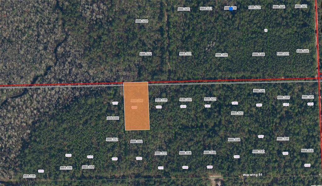 Near W Pinellas - Photo 1