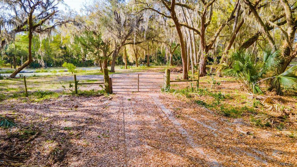 480 Clinton Cemetery Road - Photo 1