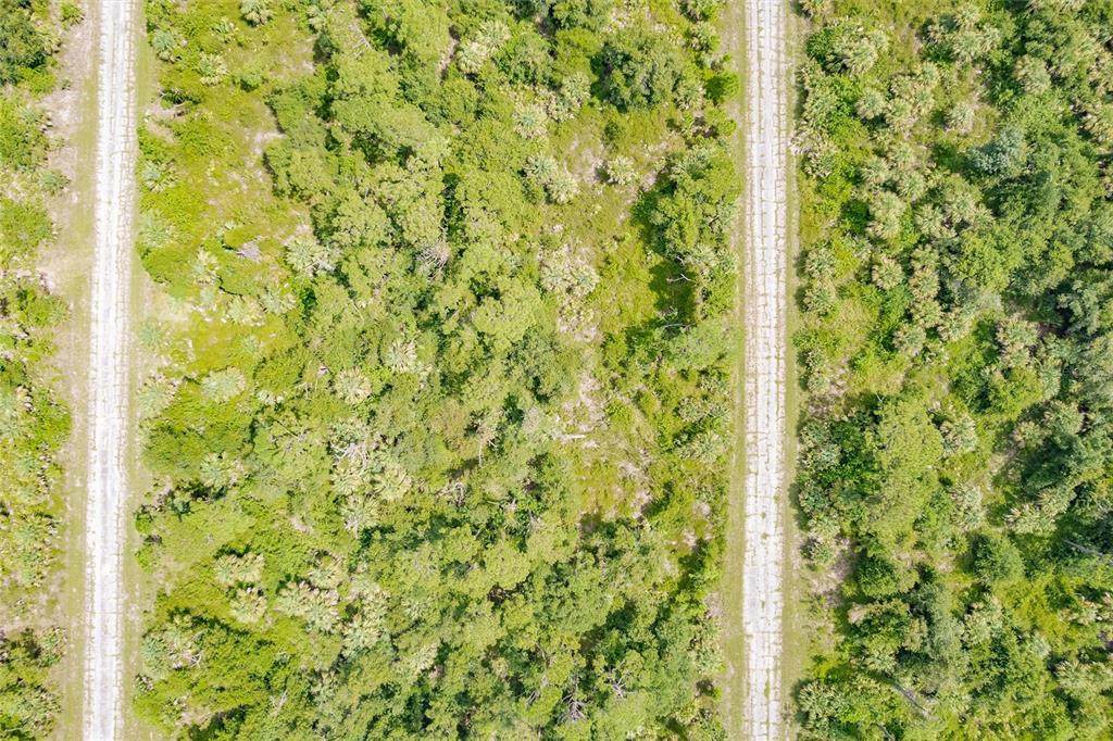  Dunmore Street - Photo 1