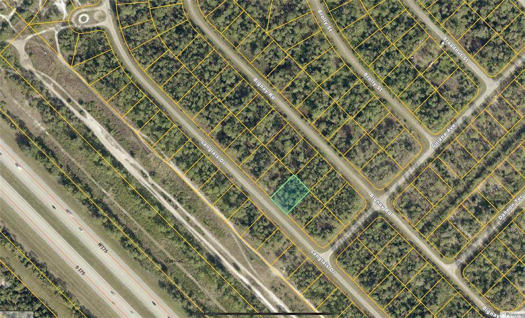  Langlais Drive - Photo 1