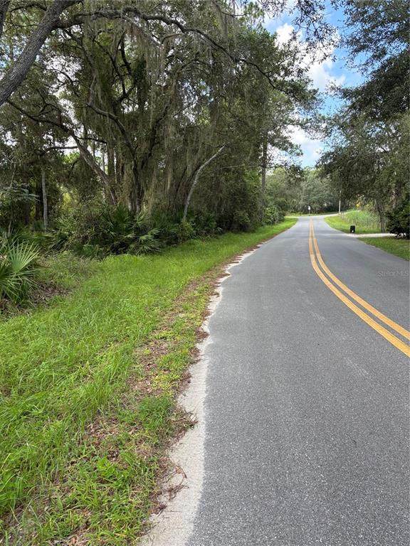 246 Browns Hammock Road - Photo 1