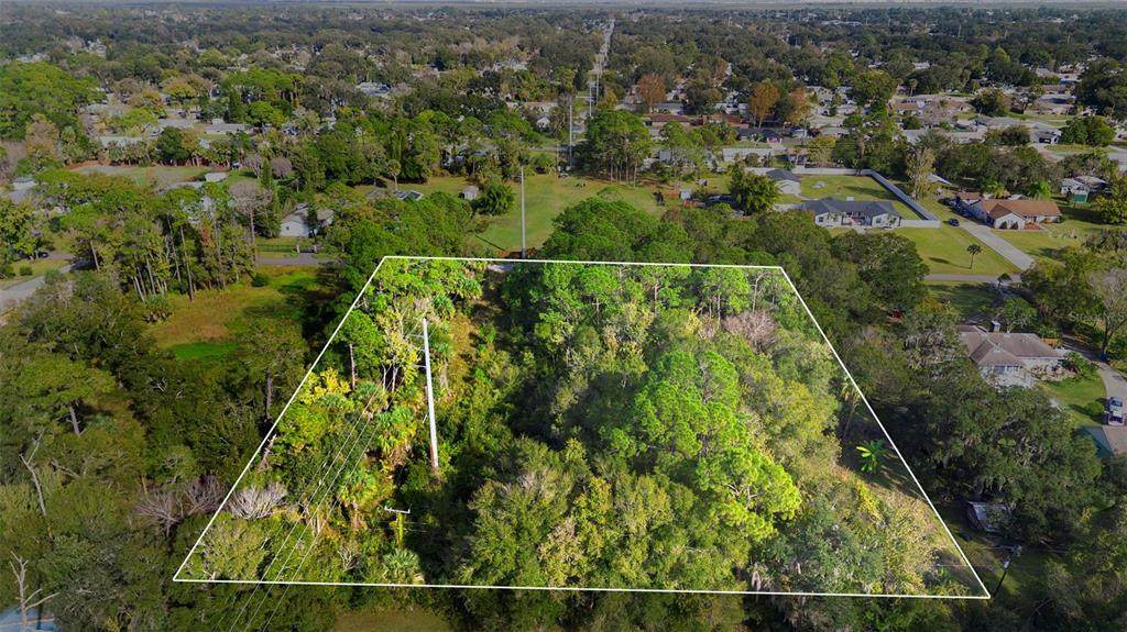  Pinedale Road - Photo 1