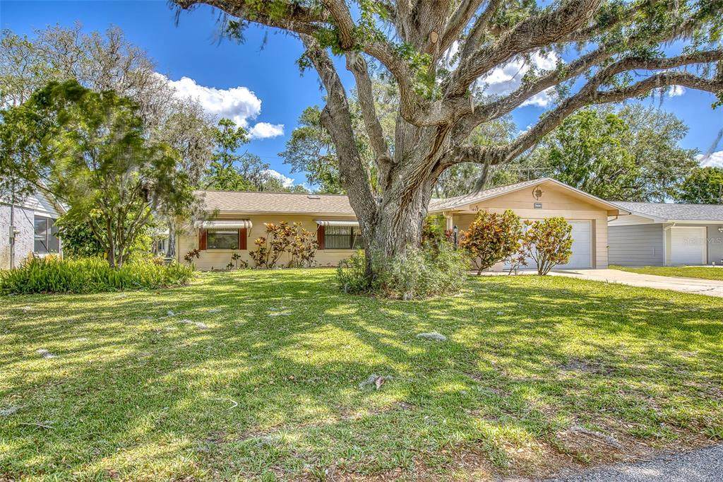 1855 Pine Tree Drive - Photo 1