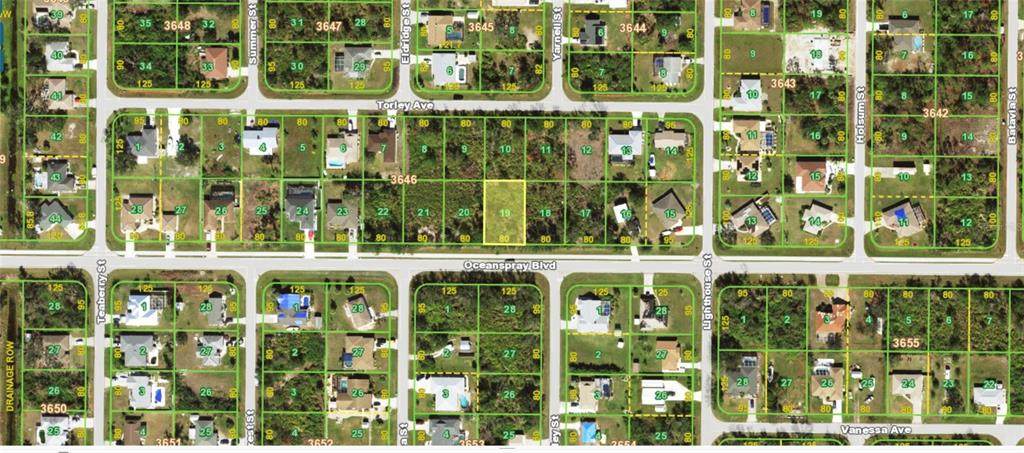 10366 Oceanspray Boulevard - Photo 1