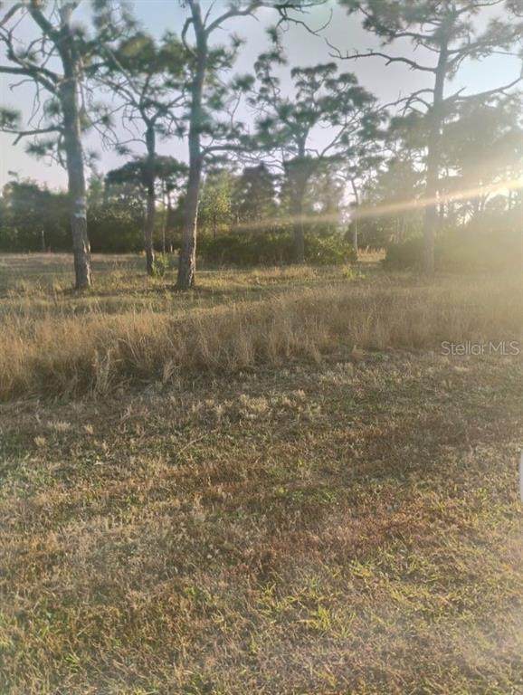 6820 Stringfellow Road - Photo 1