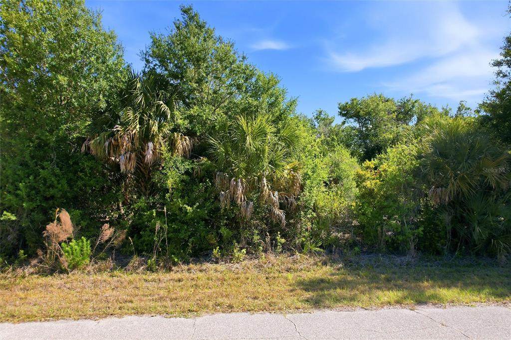 7095 Freeberg Circle - Photo 1