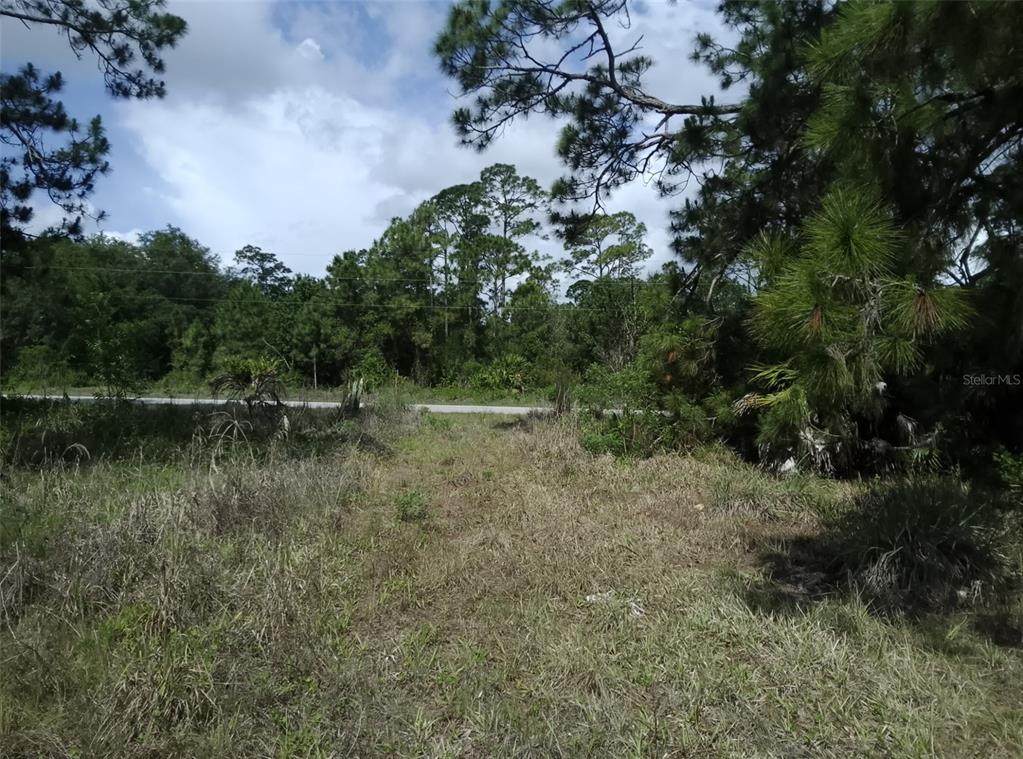 705 Horse Club Avenue - Photo 1