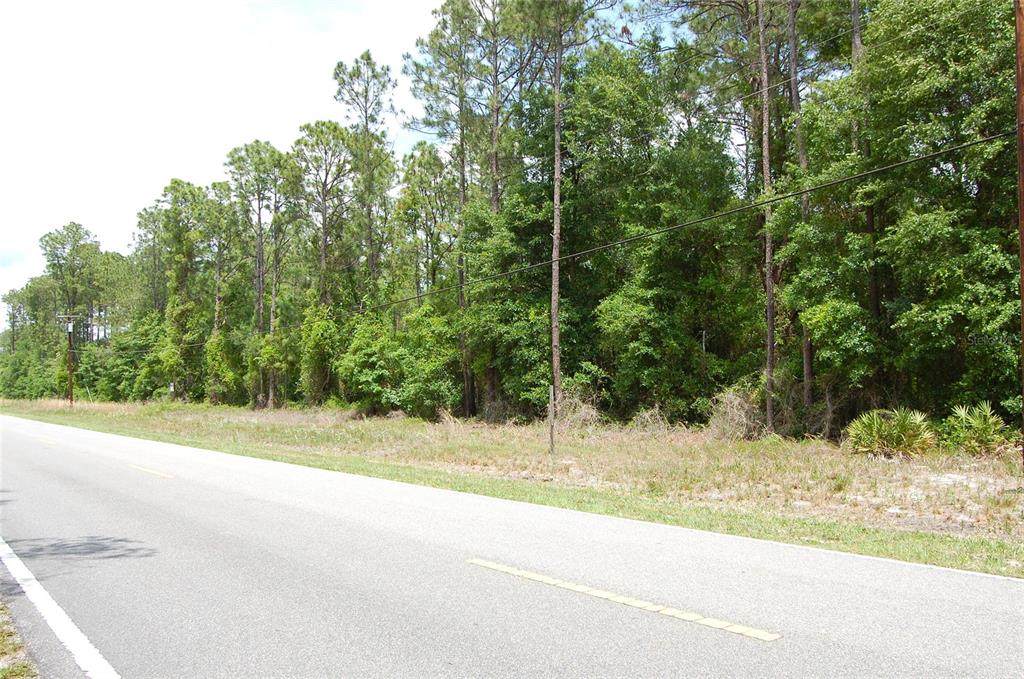 859 River Road - Photo 1