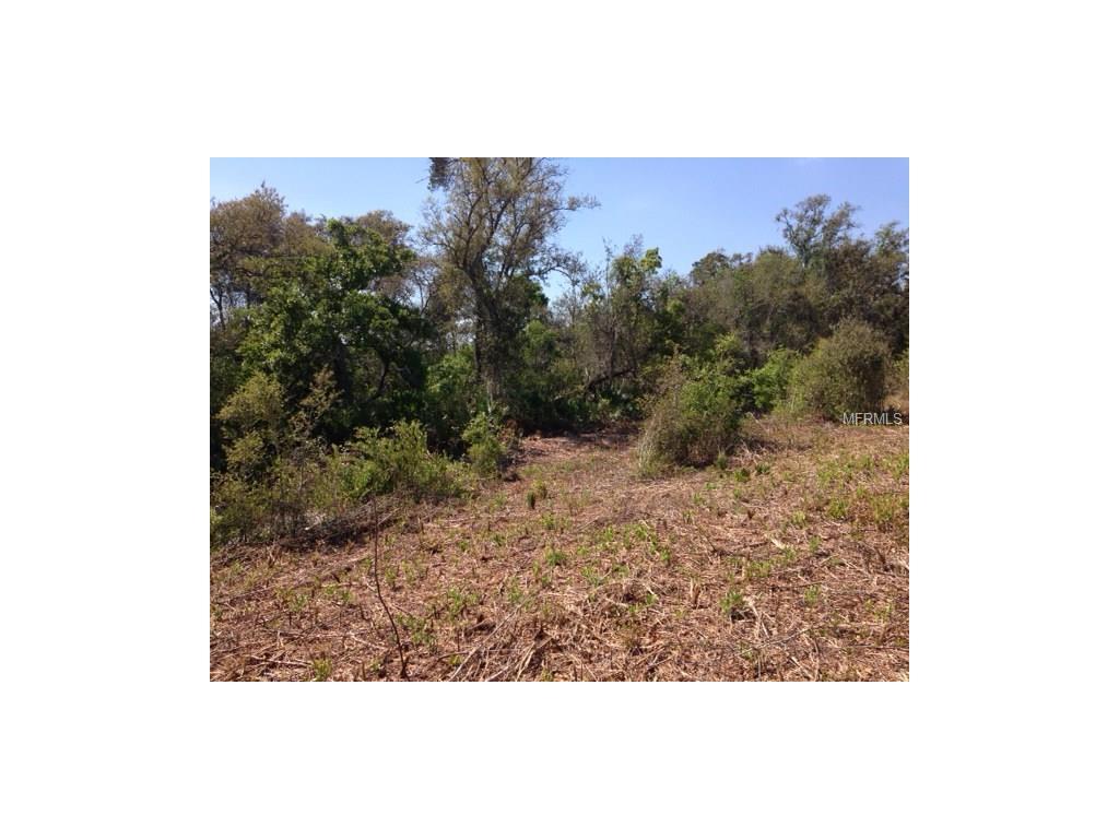 Howland Boulevard - Photo 1