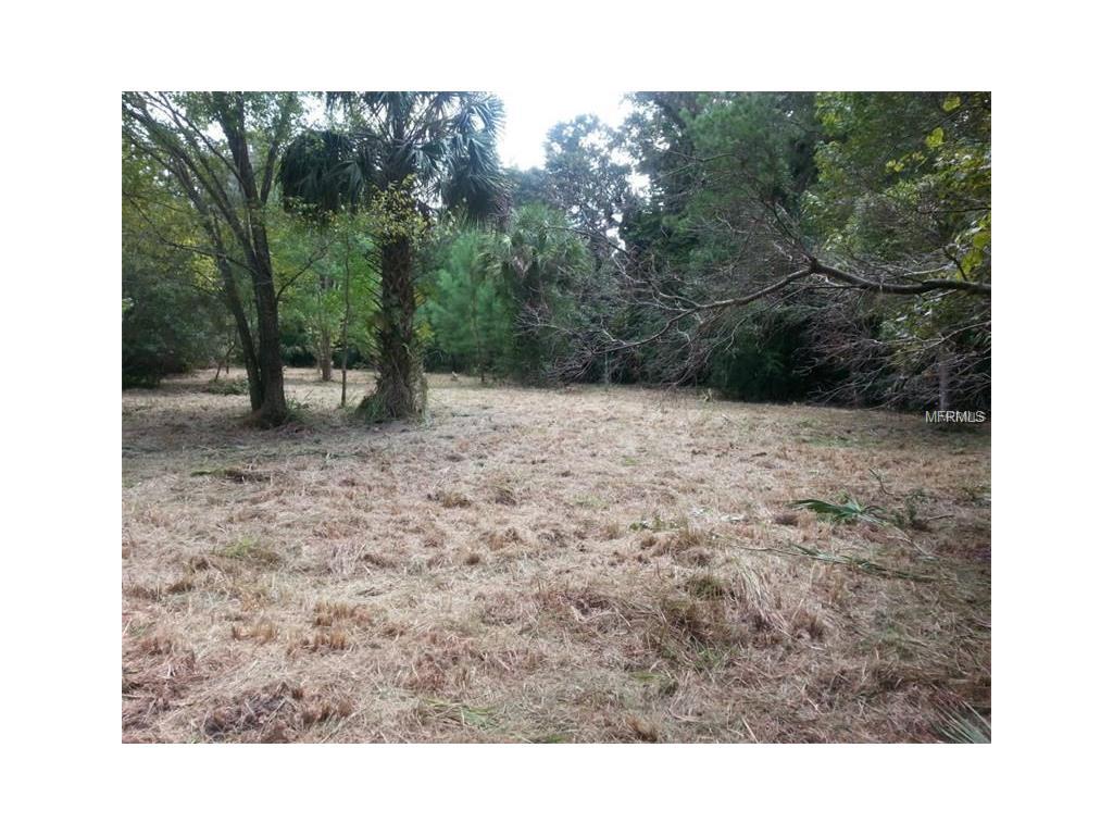 Carolina Run - Photo 1