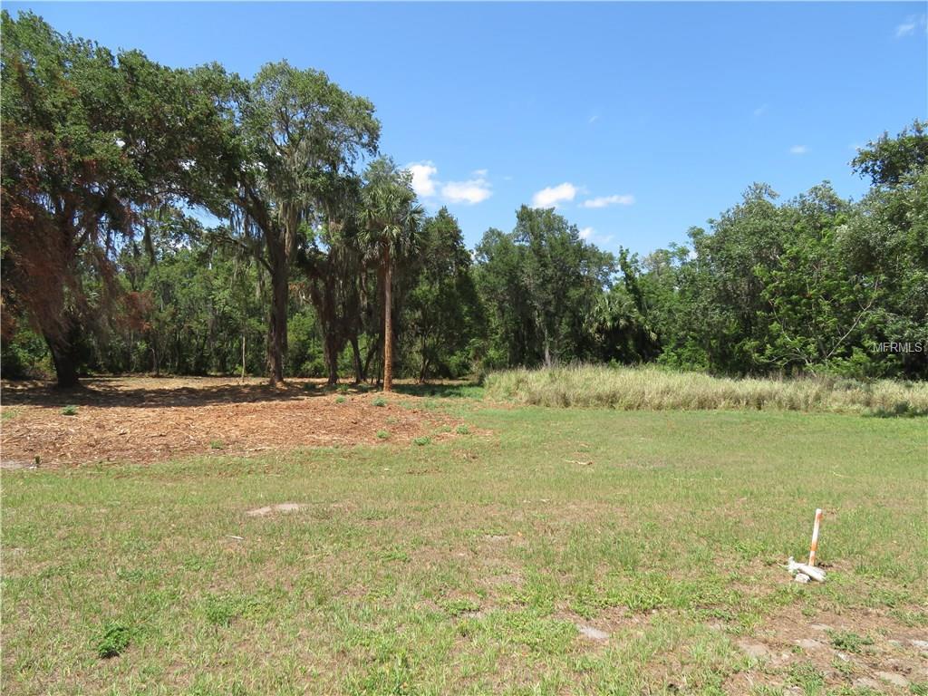 Blue Heron Circle - Photo 1