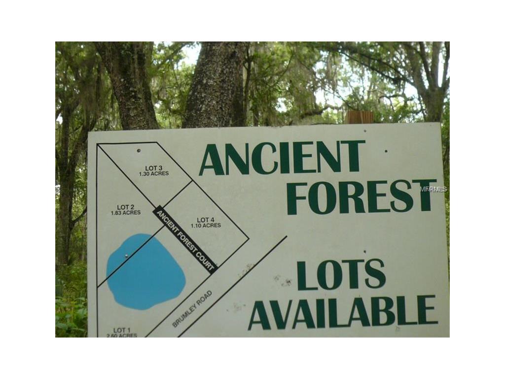 310 Ancient Forest Court - Photo 1
