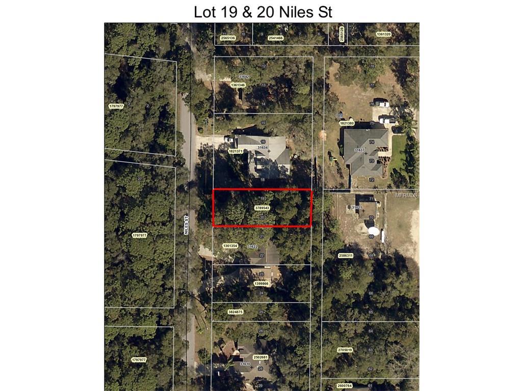 31628 Niles Street - Photo 1