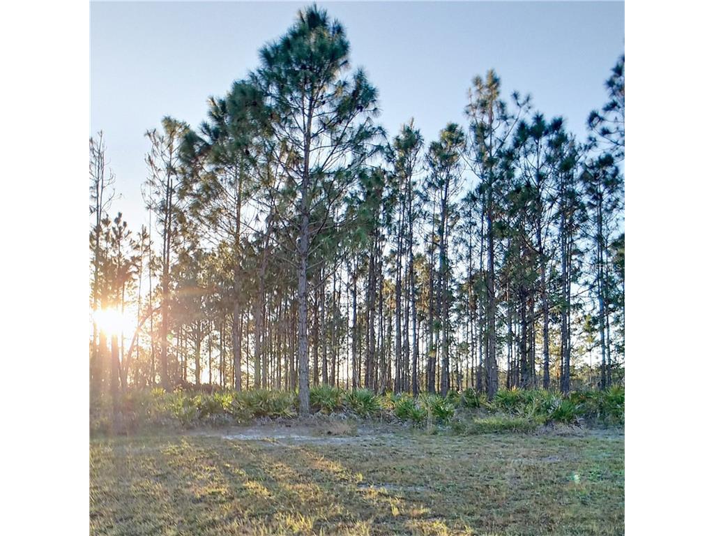 4615 Wright Bros Road - Photo 1