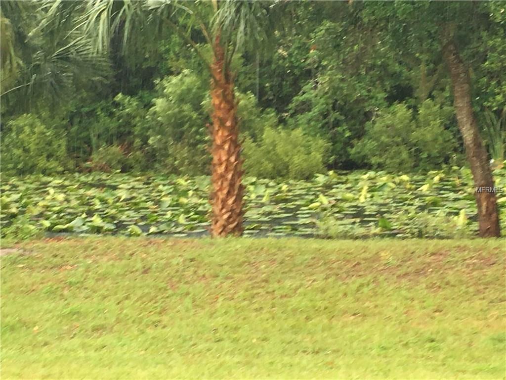 9657 White Egret Path - Photo 1