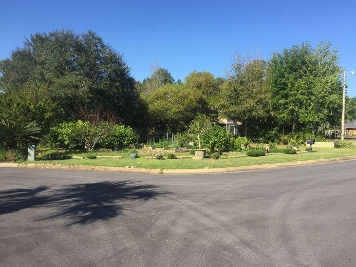 0 Tiger Point - Photo 1