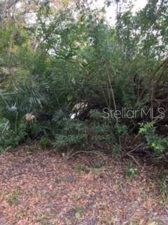 Christmas Cemetery Road - Photo 1