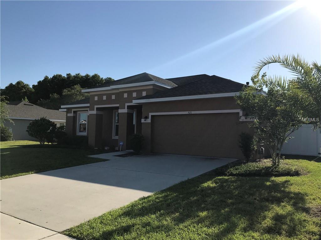 521 Elkhorn Fern Lane - Photo 1