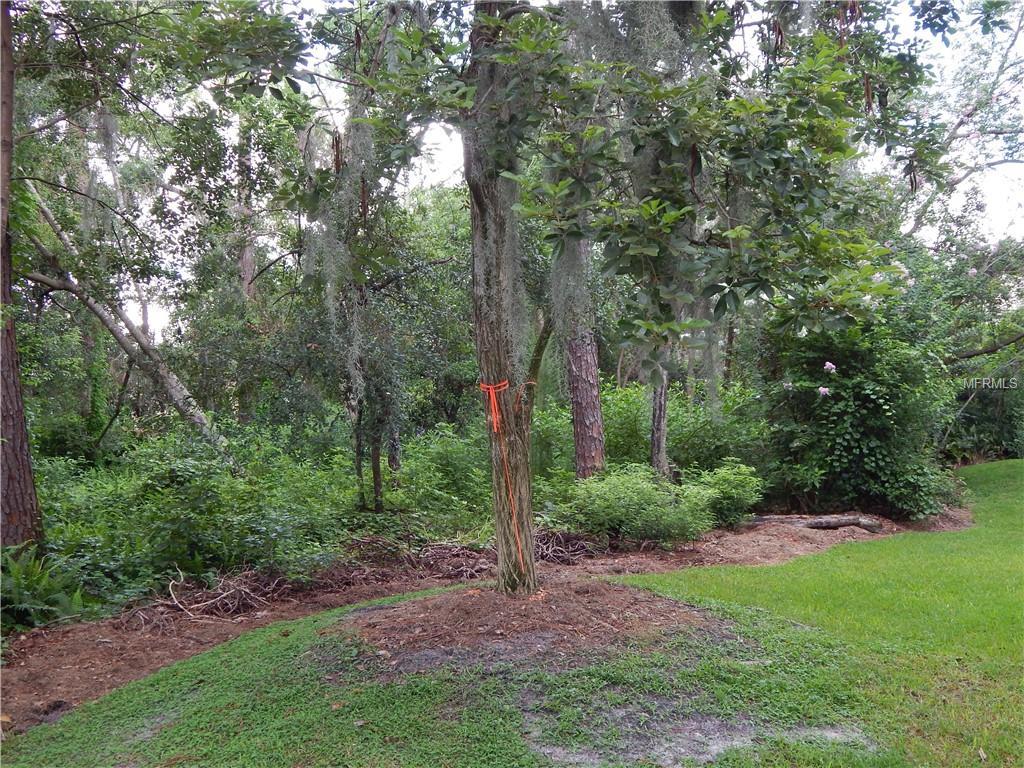 609 Grand Cypress Point - Photo 1
