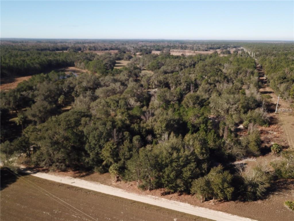Maggie Jones Road - Photo 1