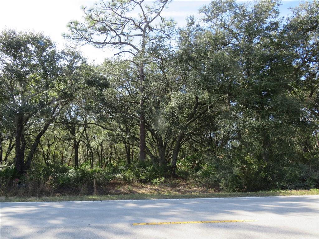 Hickory Tree Road - Photo 1