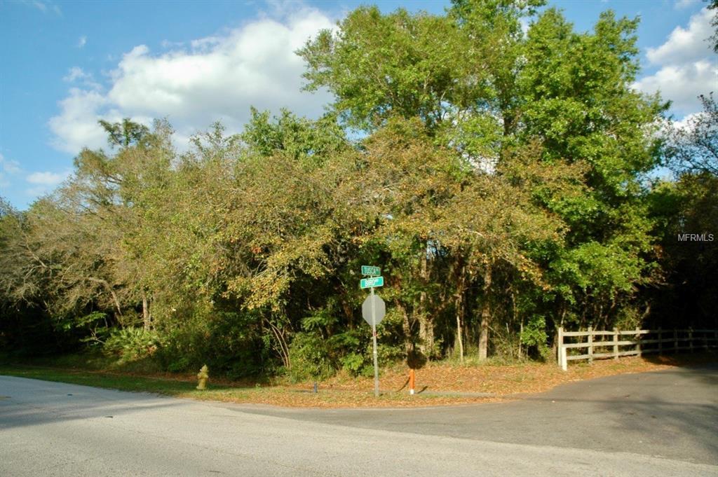 1400 Tusca Trail - Photo 1