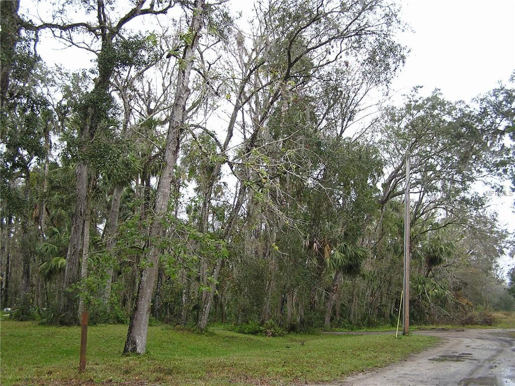 Burma Road - Photo 1
