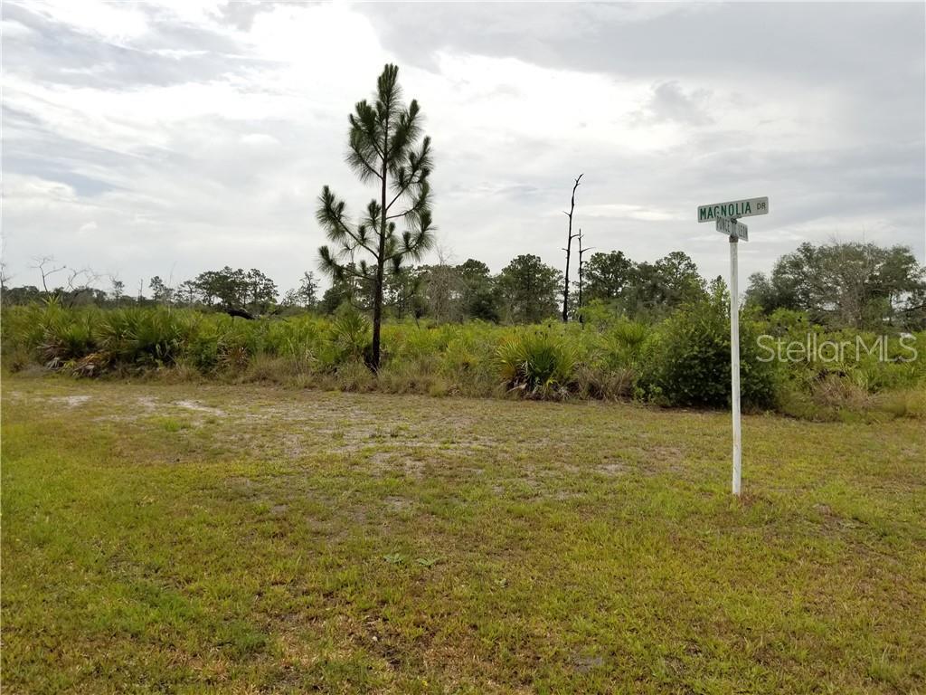 410 Magnolia Drive - Photo 1