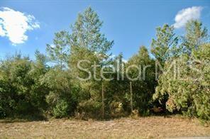 Normandy Boulevard - Photo 1