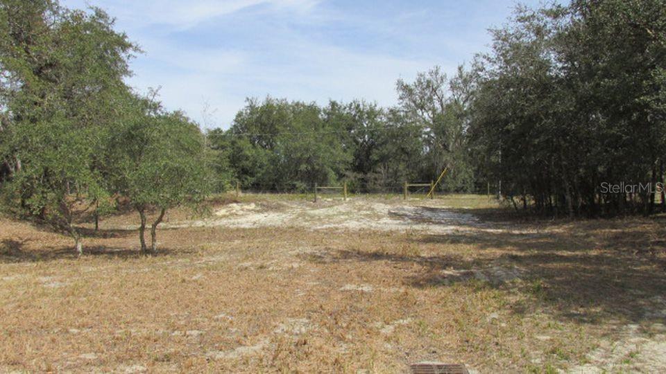 8400 Breeze Hill Drive - Photo 1