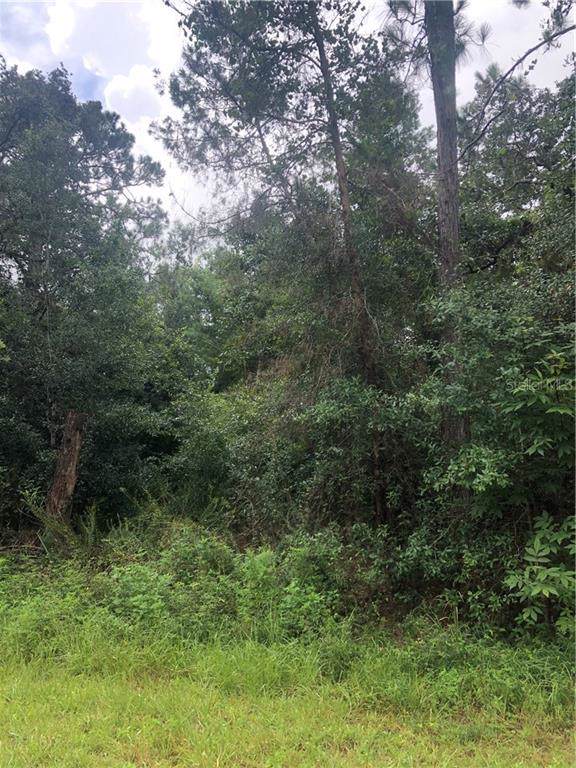 105 Oconner Drive - Photo 1