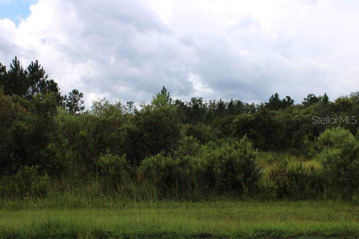Lot 19 Reynolds Parkway - Photo 1