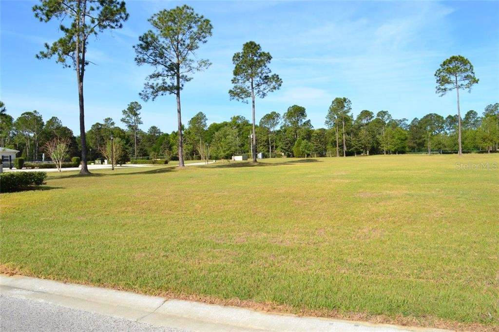 Southern Pines Drive - Photo 1