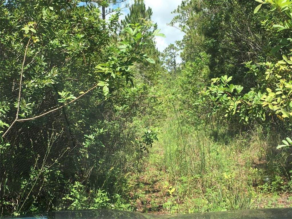 4260 Lake Gentry Road - Photo 1