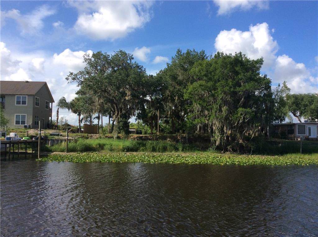1163 Lemon Bluff Road - Photo 1