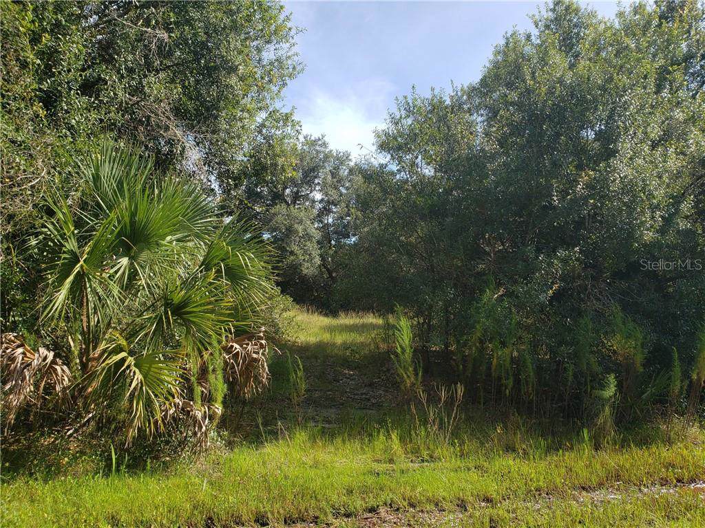 Jeming Road - Photo 1