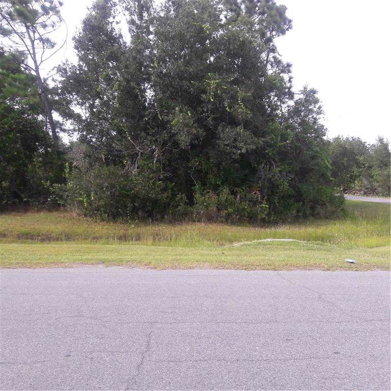 Cavalier Avenue - Photo 1