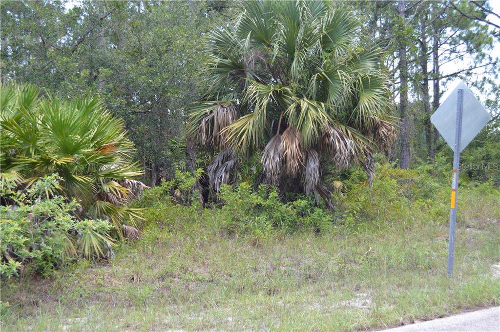 4402 13TH Street - Photo 1