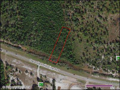 Osceola Polk Line Road - Photo 1