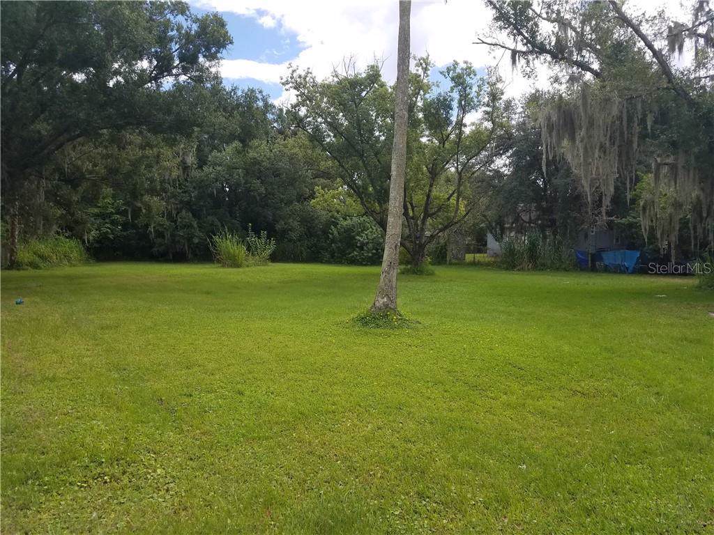 1007 Mangoustine Avenue - Photo 1