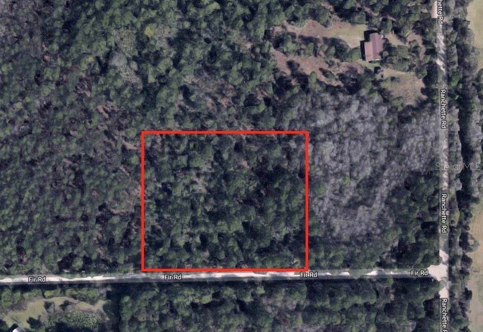 4503 Ranchette Road - Photo 1